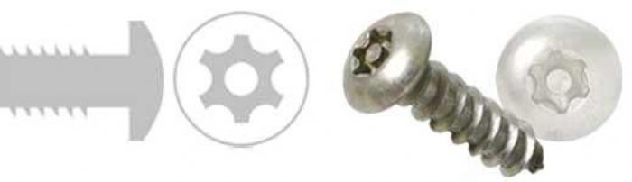 TORNILLOS DE SEGURIDAD - TORXS, SERPIENTE